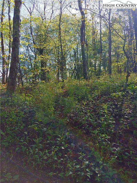 Image number 12 for the current listing
