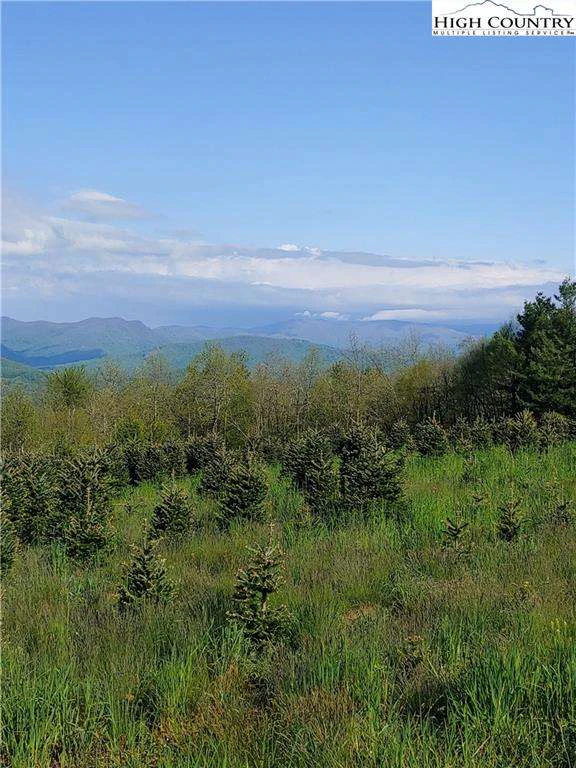 Image number 8 for the current listing