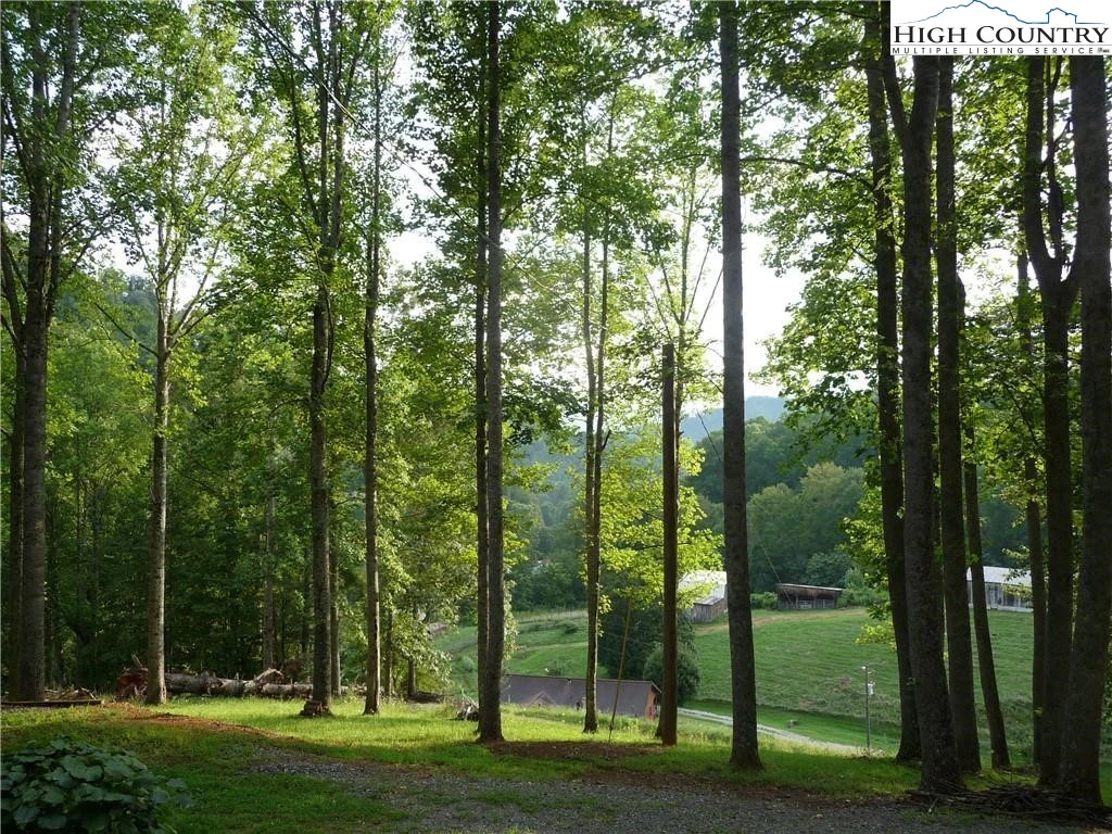 Image number 1 for the current listing