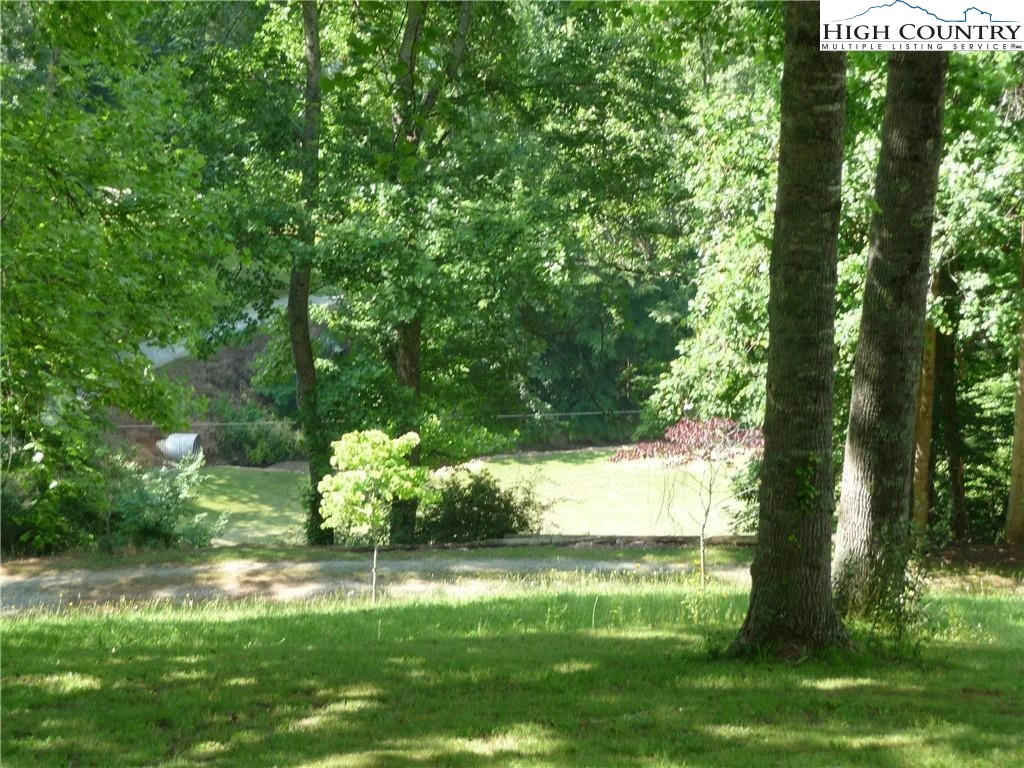 Image number 8 for the current listing