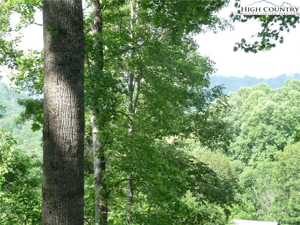 Image number 6 for the current listing