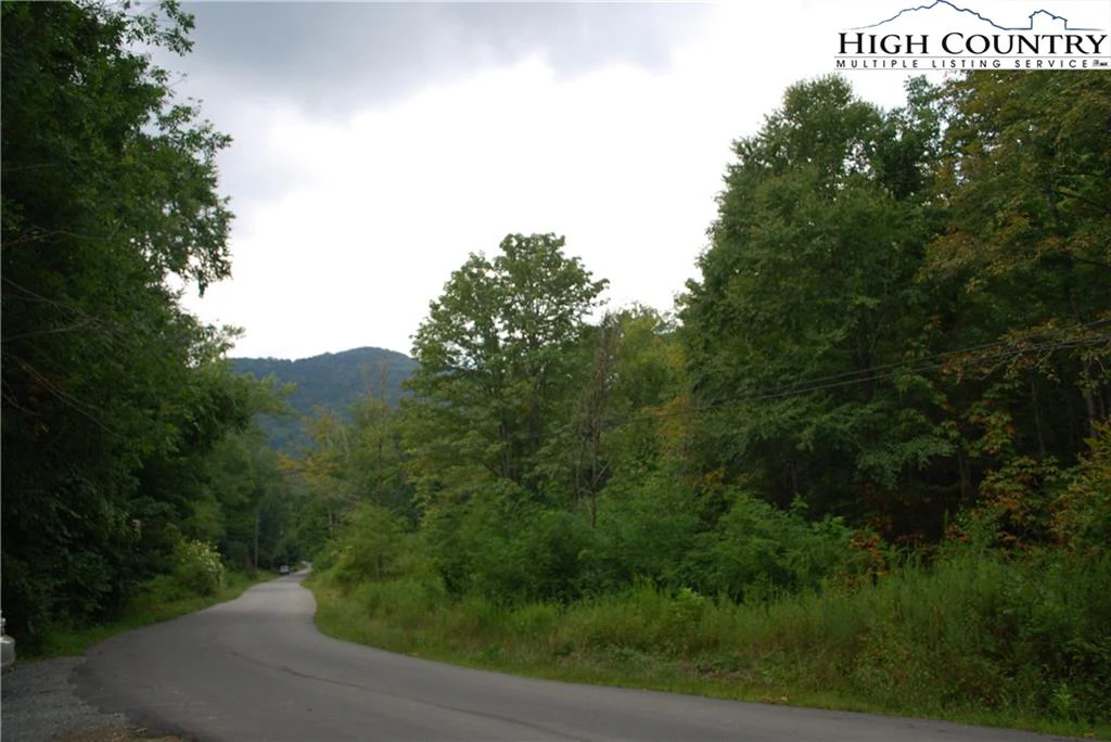 Image number 1 for the current listing