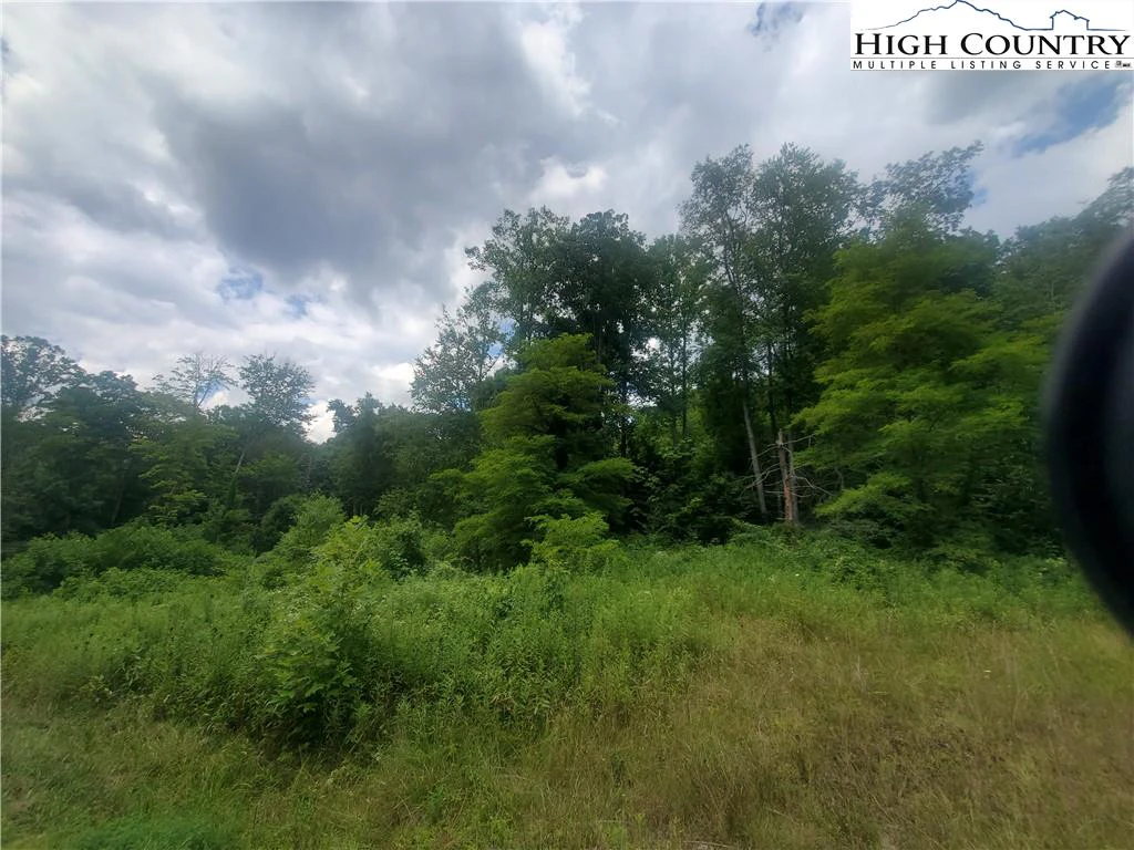 Image number 2 for the current listing