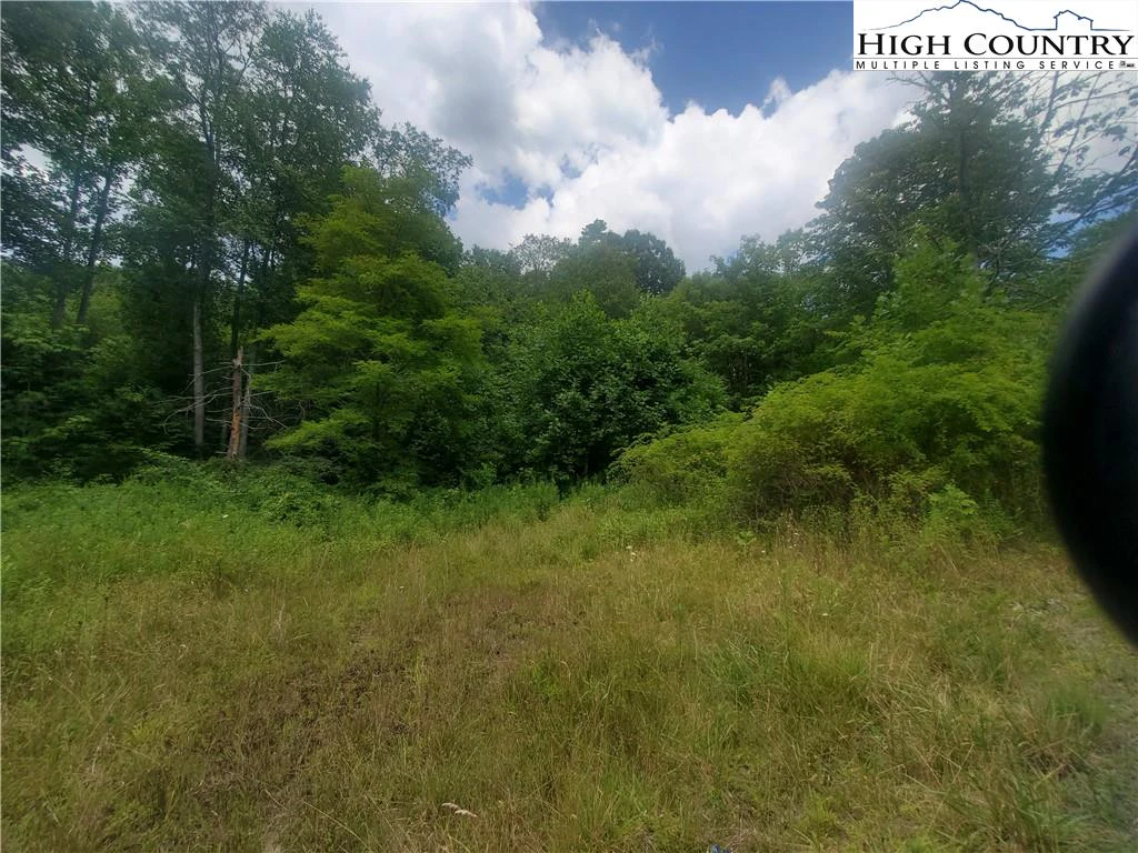 Image number 12 for the current listing