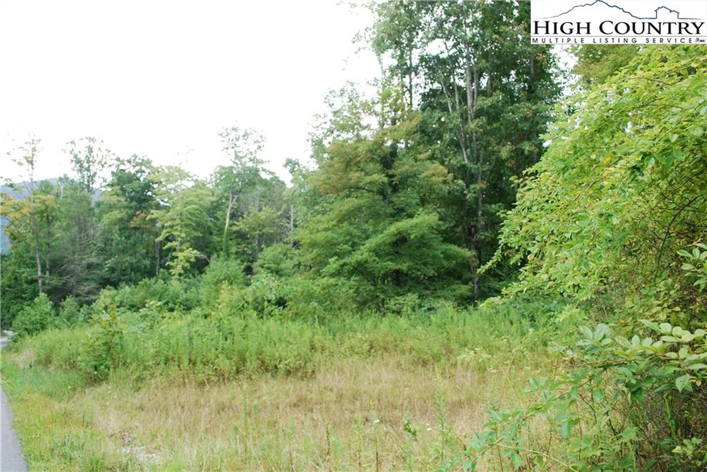 Image number 16 for the current listing