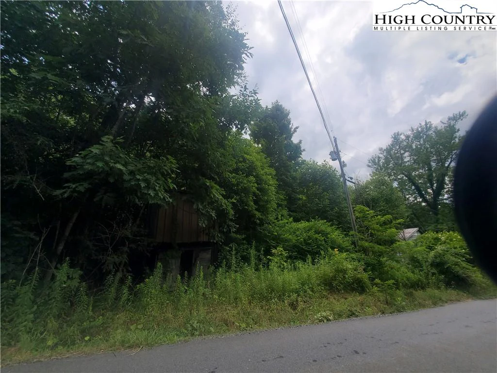 Image number 13 for the current listing