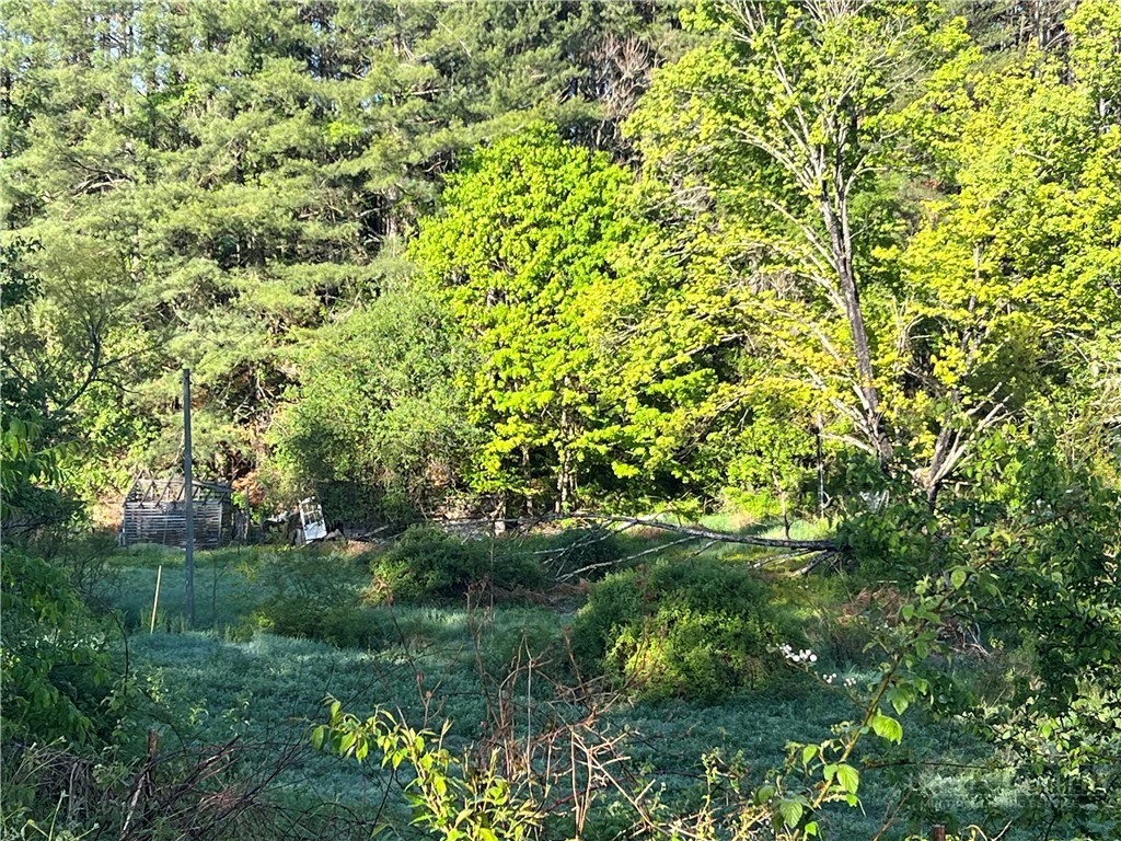 Image number 4 for the current listing