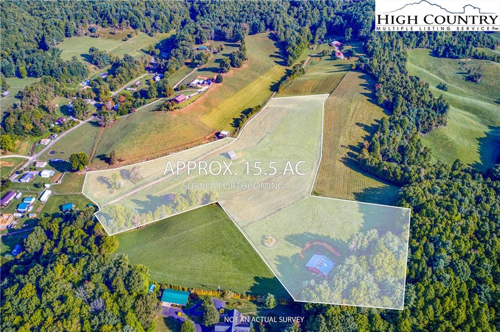 Image number 1 for the current listing