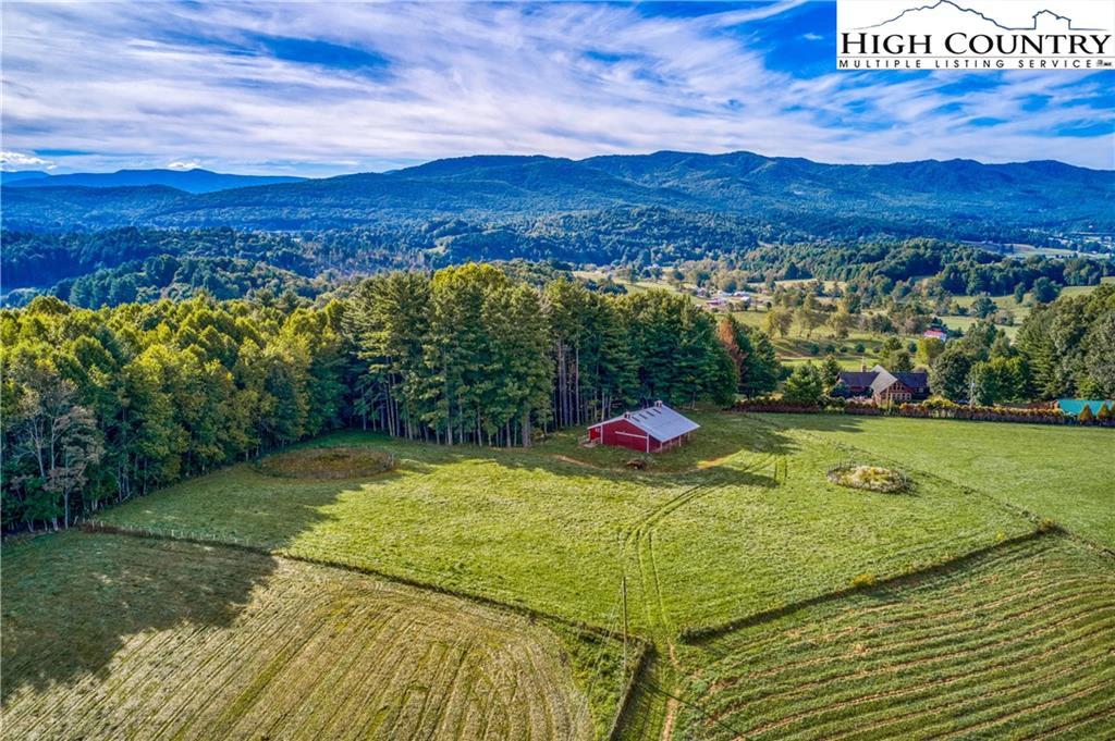 Image number 2 for the current listing