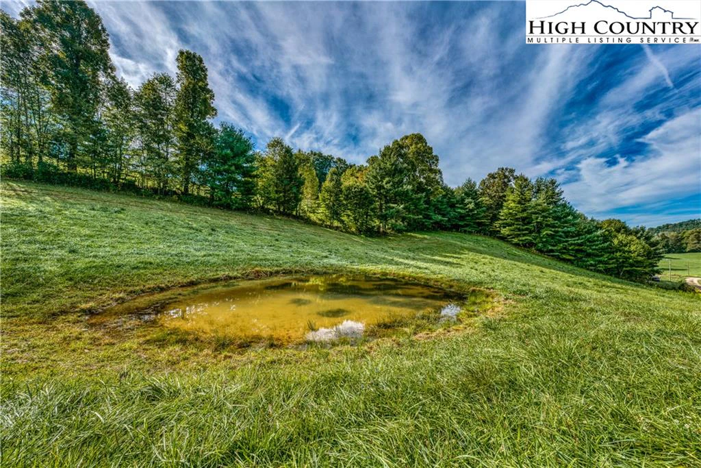 Image number 7 for the current listing