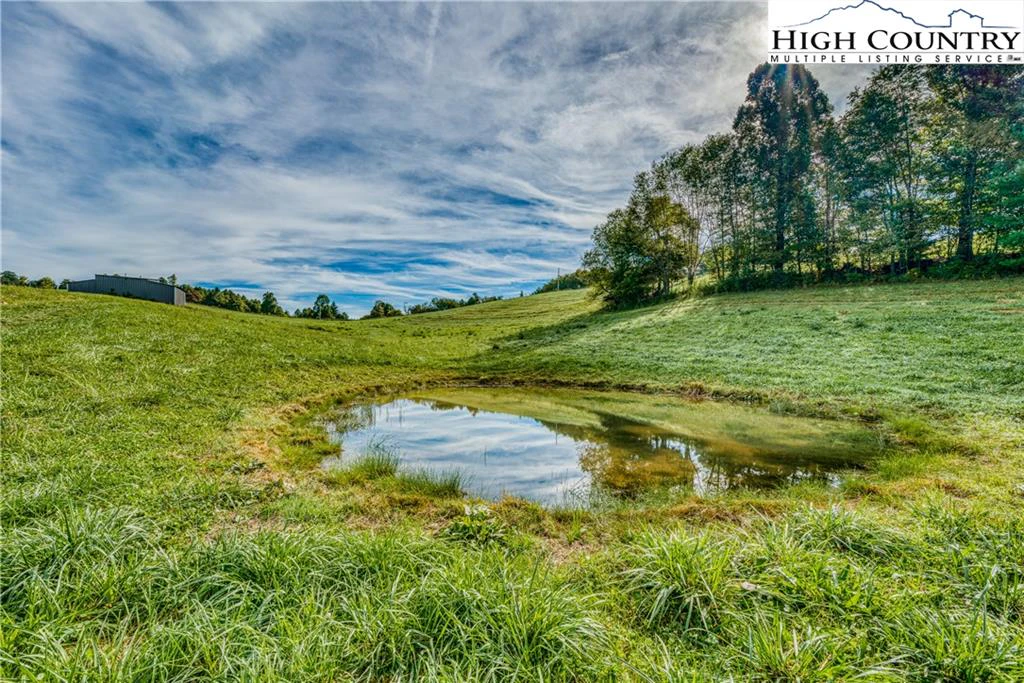 Image number 6 for the current listing