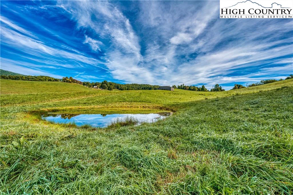 Image number 5 for the current listing