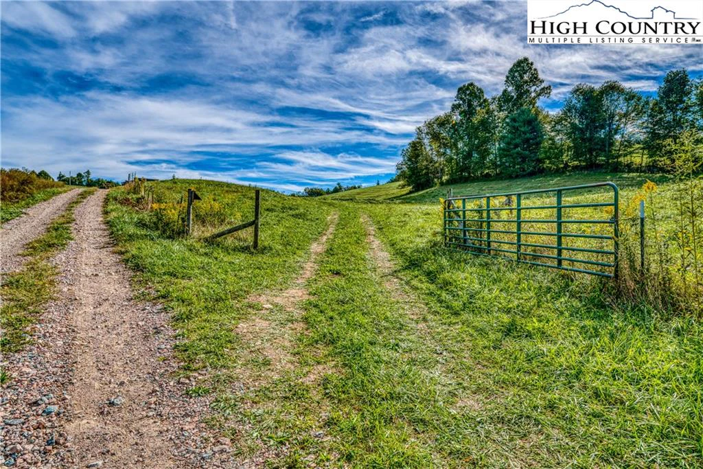 Image number 4 for the current listing