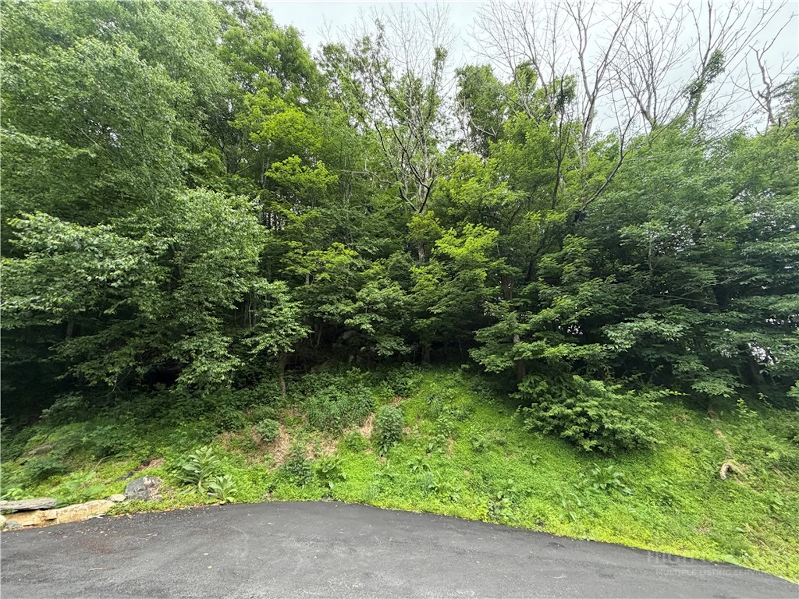 Image number 1 for the current listing