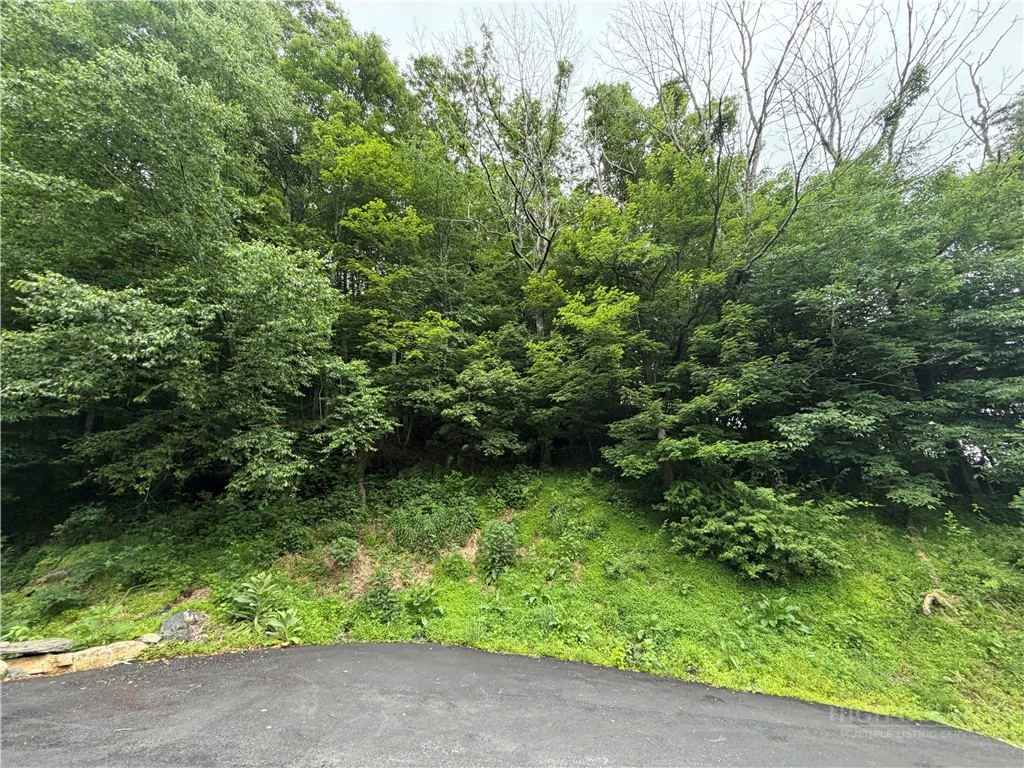 Image number 1 for the current listing