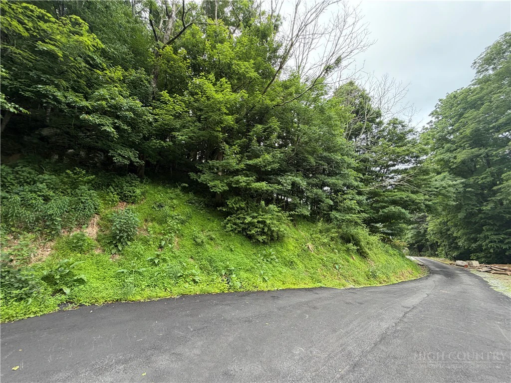 Image number 2 for the current listing