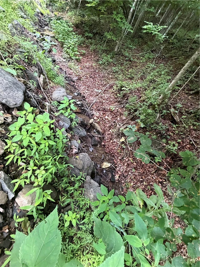 Image number 3 for the current listing