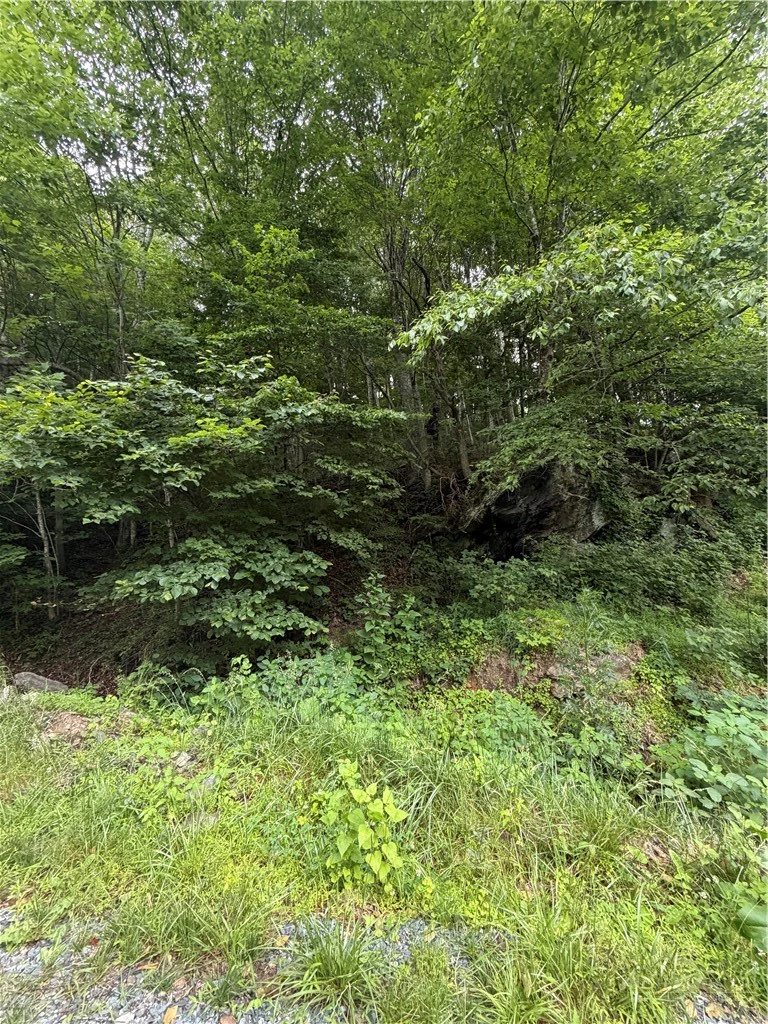 Image number 4 for the current listing