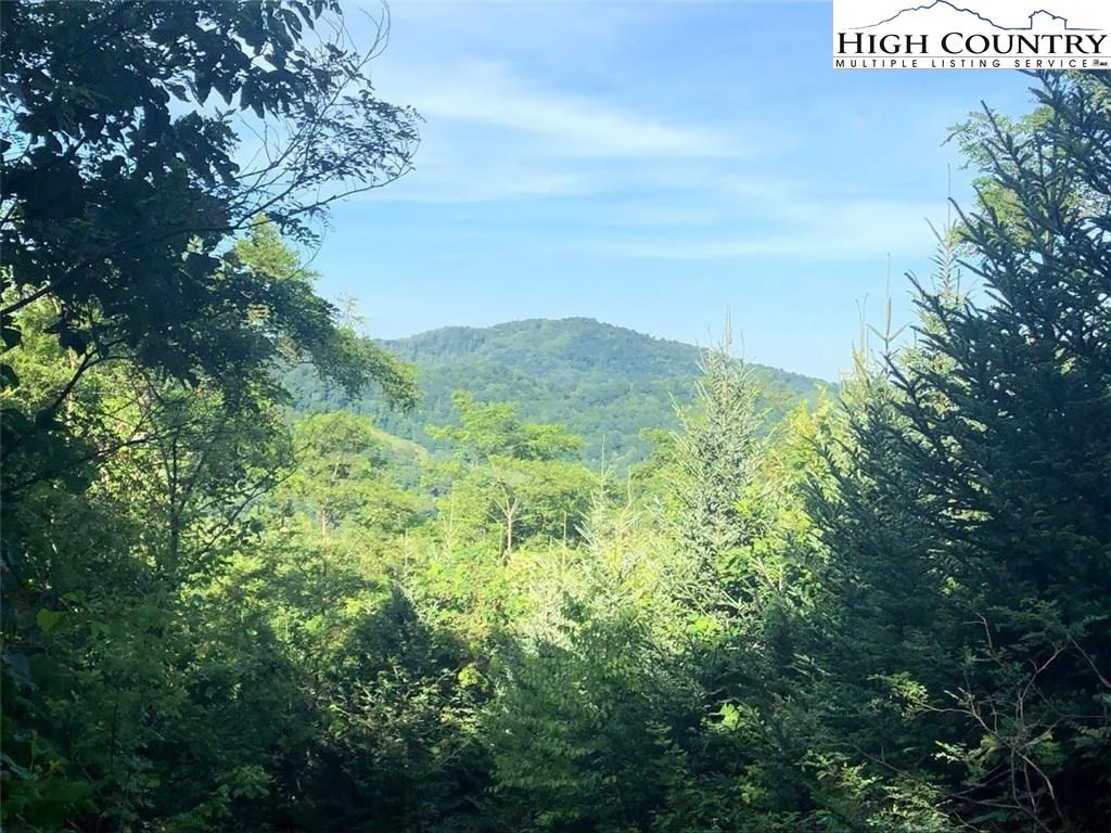 Image number 1 for the current listing