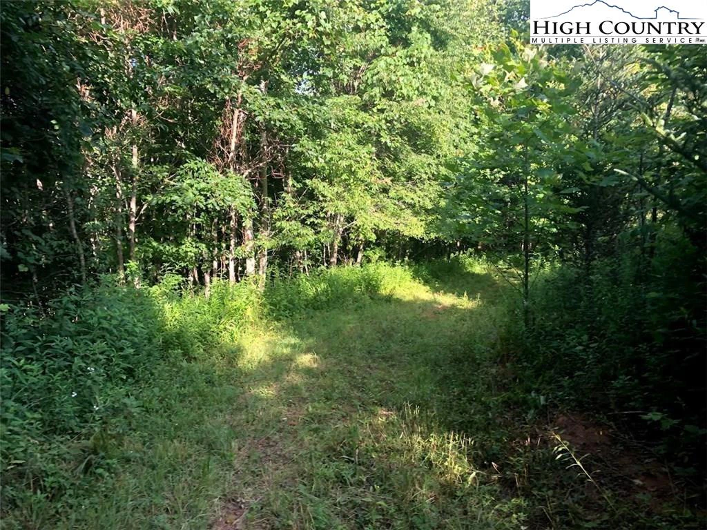 Image number 11 for the current listing