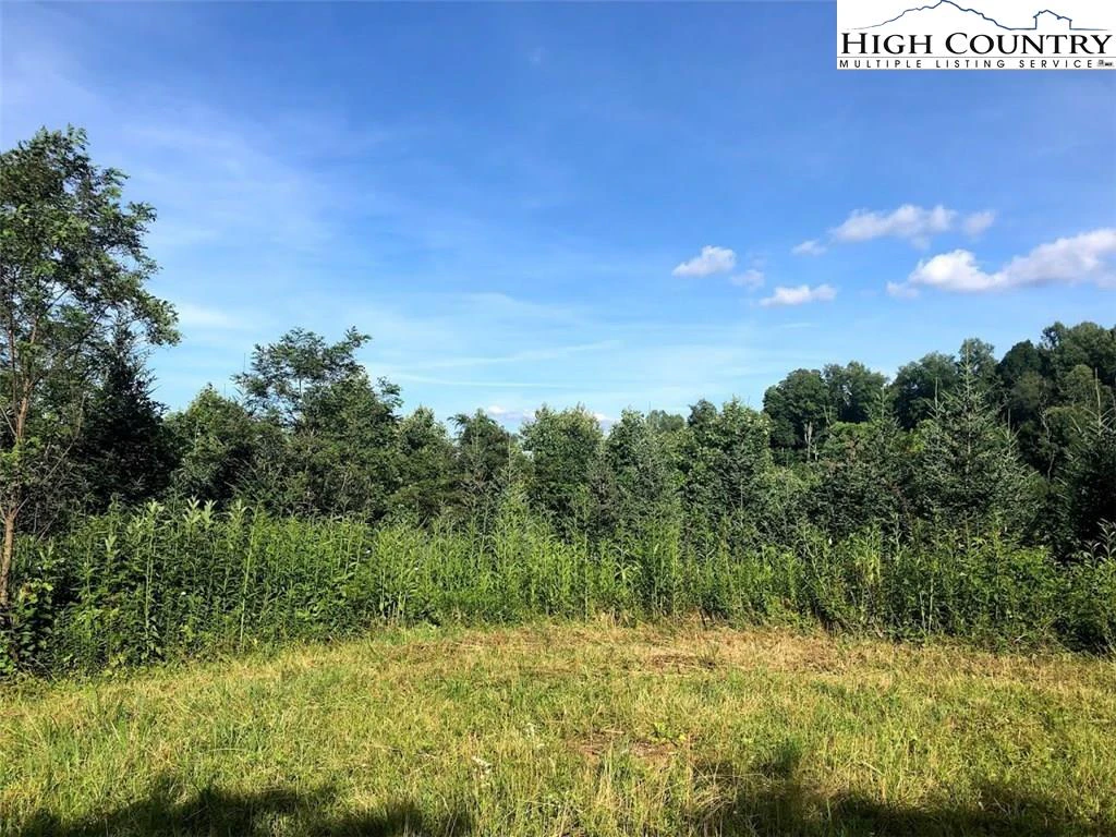 Image number 3 for the current listing