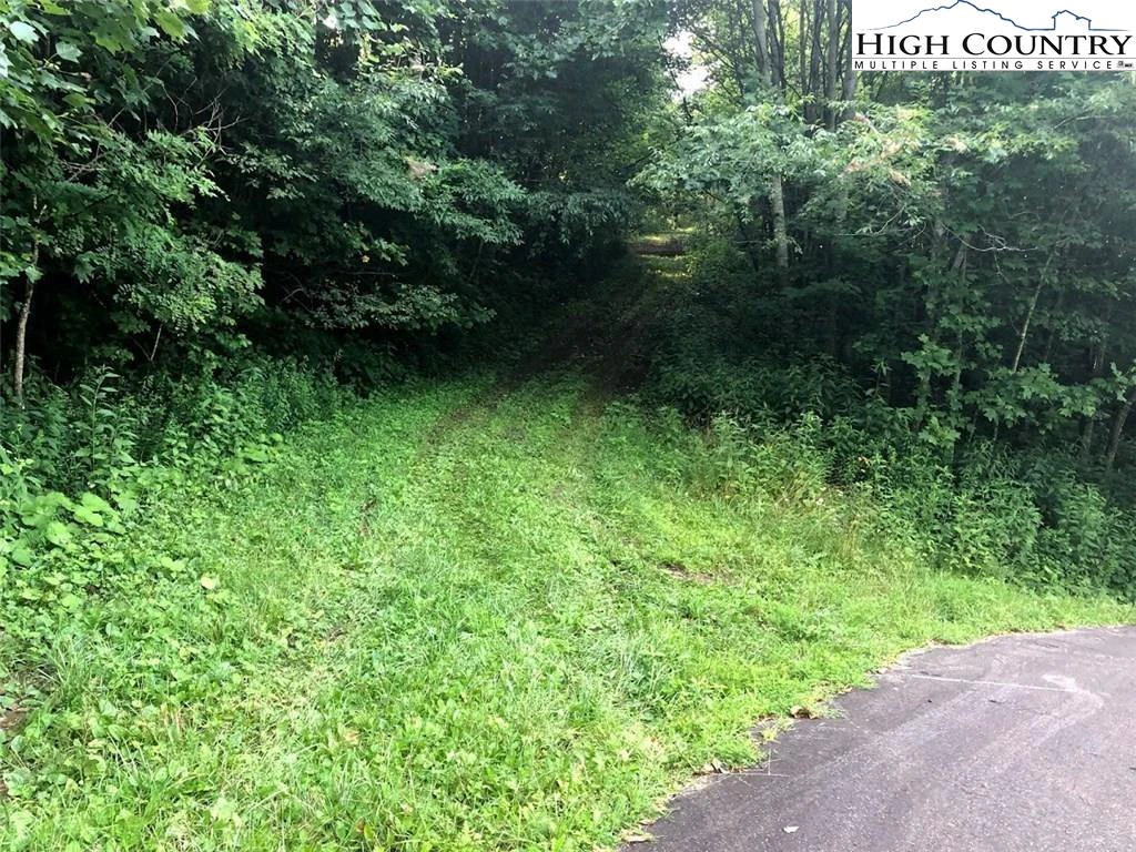 Image number 9 for the current listing