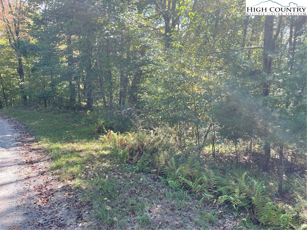 Image number 13 for the current listing