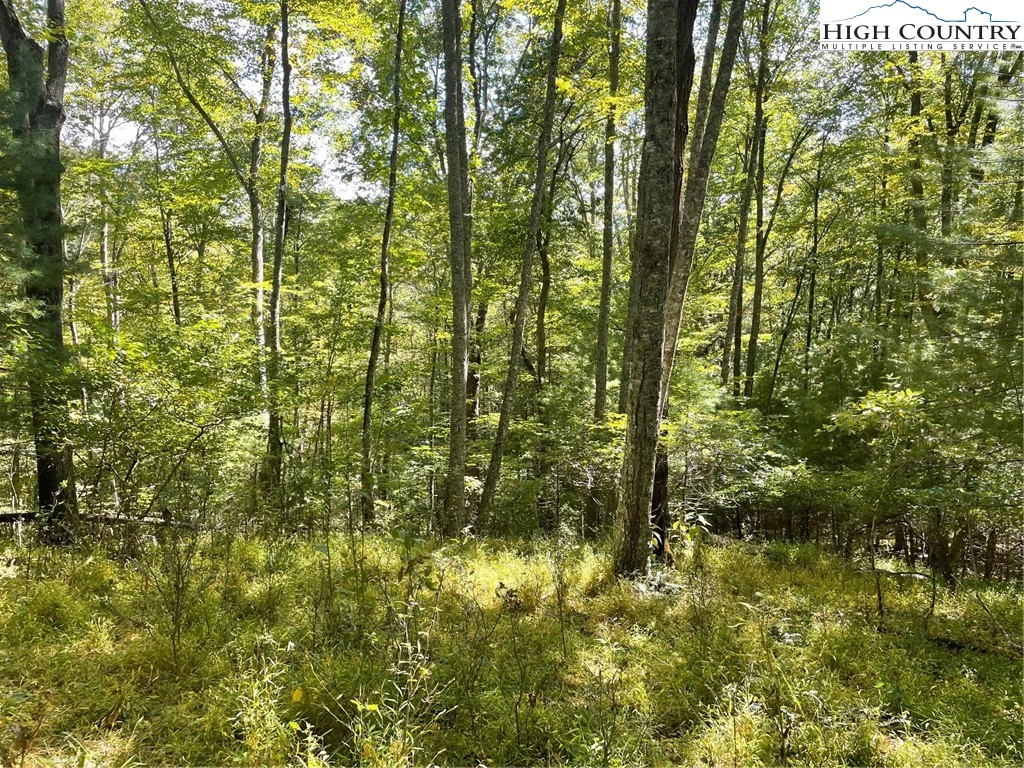 Image number 17 for the current listing