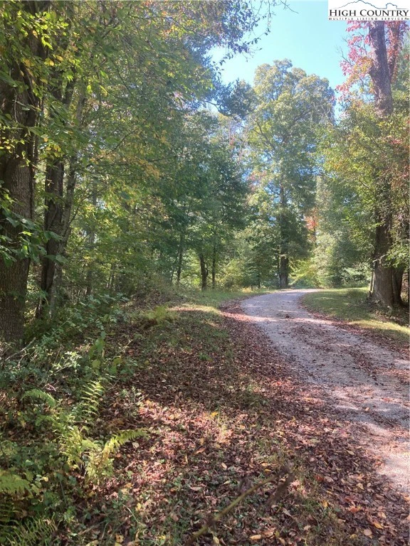 Image number 12 for the current listing