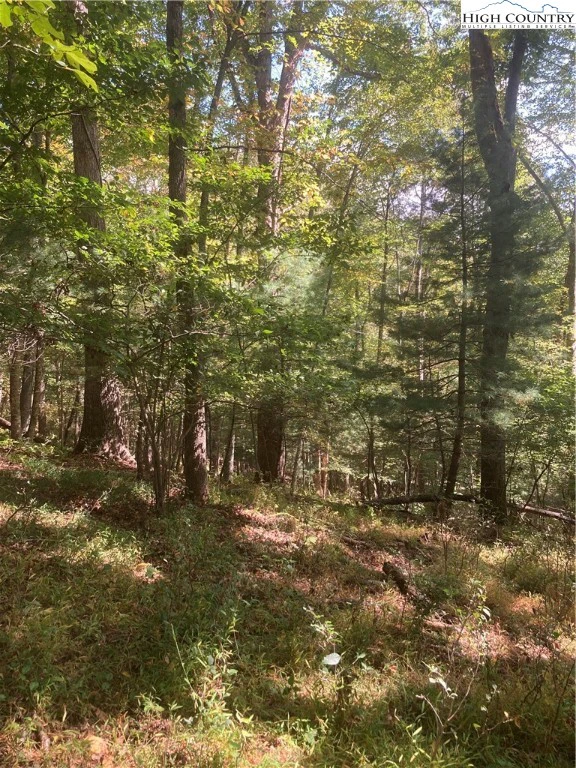Image number 2 for the current listing