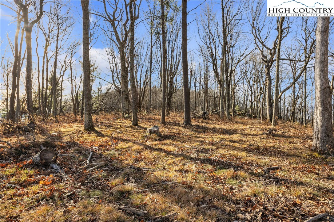 Image number 19 for the current listing