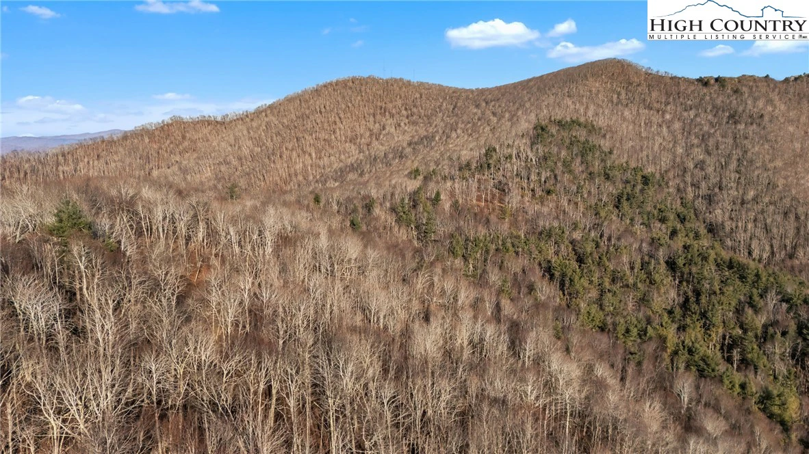 Image number 13 for the current listing