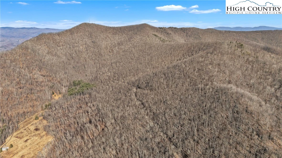 Image number 6 for the current listing