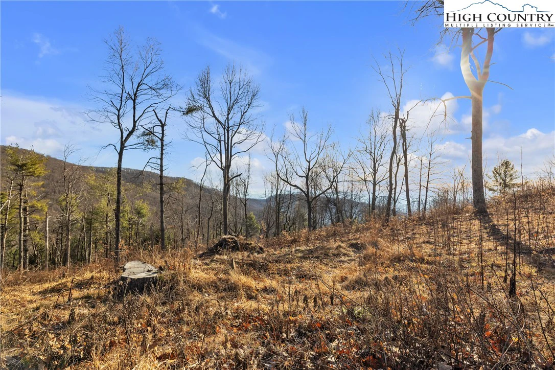 Image number 17 for the current listing