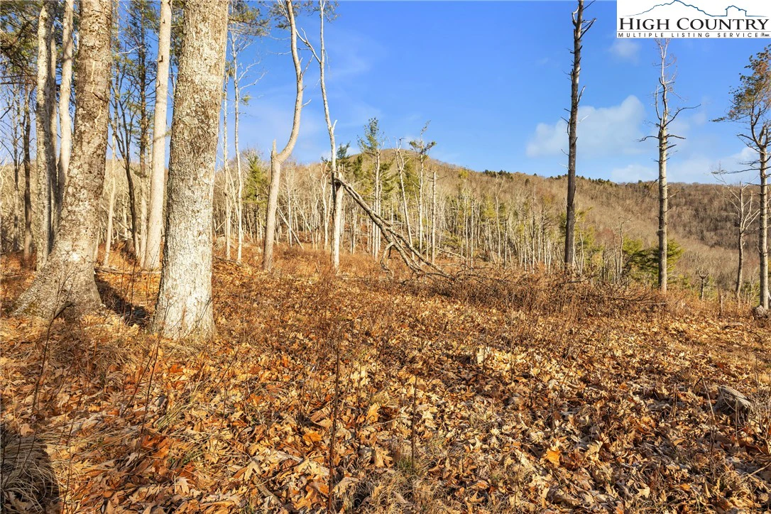 Image number 18 for the current listing