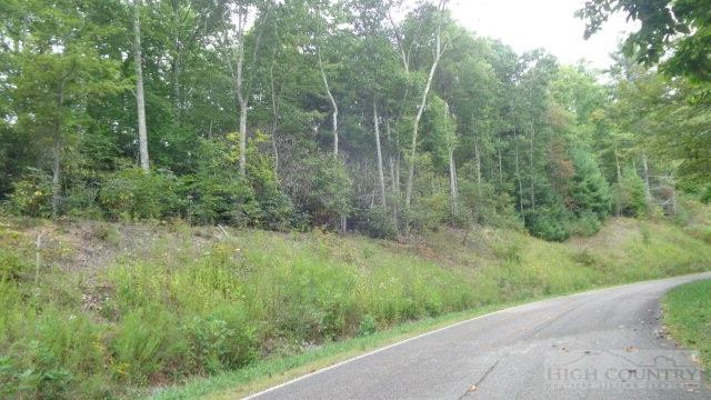 Image number 1 for the current listing