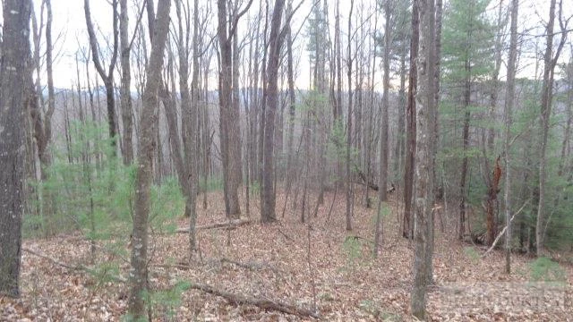 Image number 13 for the current listing