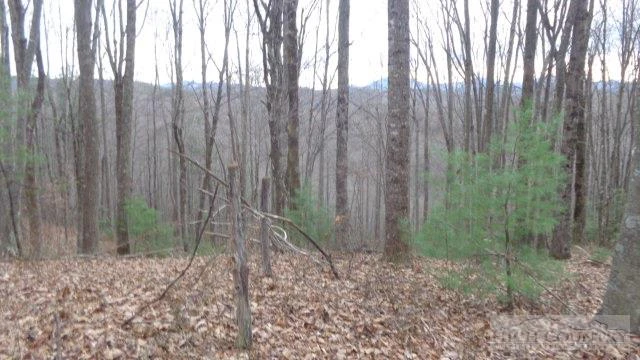 Image number 4 for the current listing