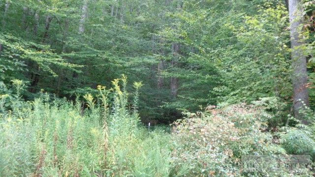 Image number 6 for the current listing