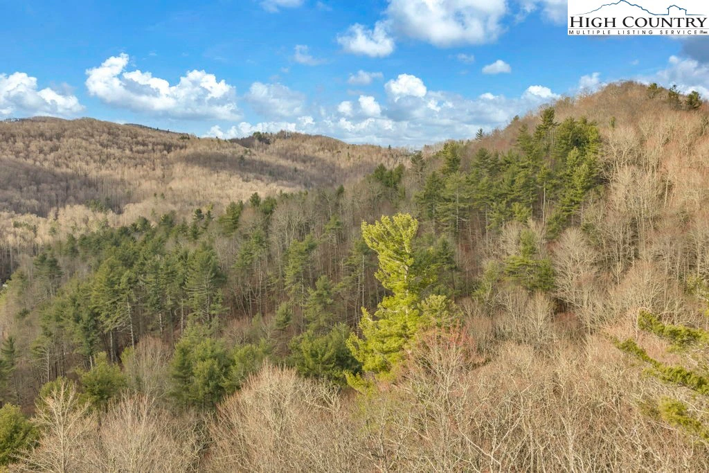 Image number 14 for the current listing