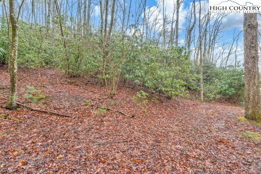 Image number 9 for the current listing