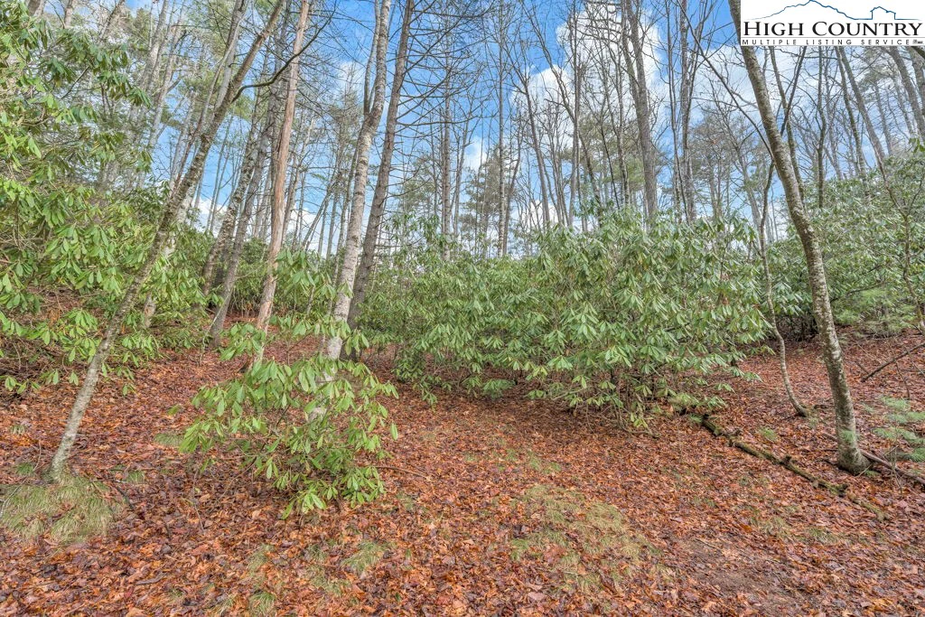 Image number 7 for the current listing