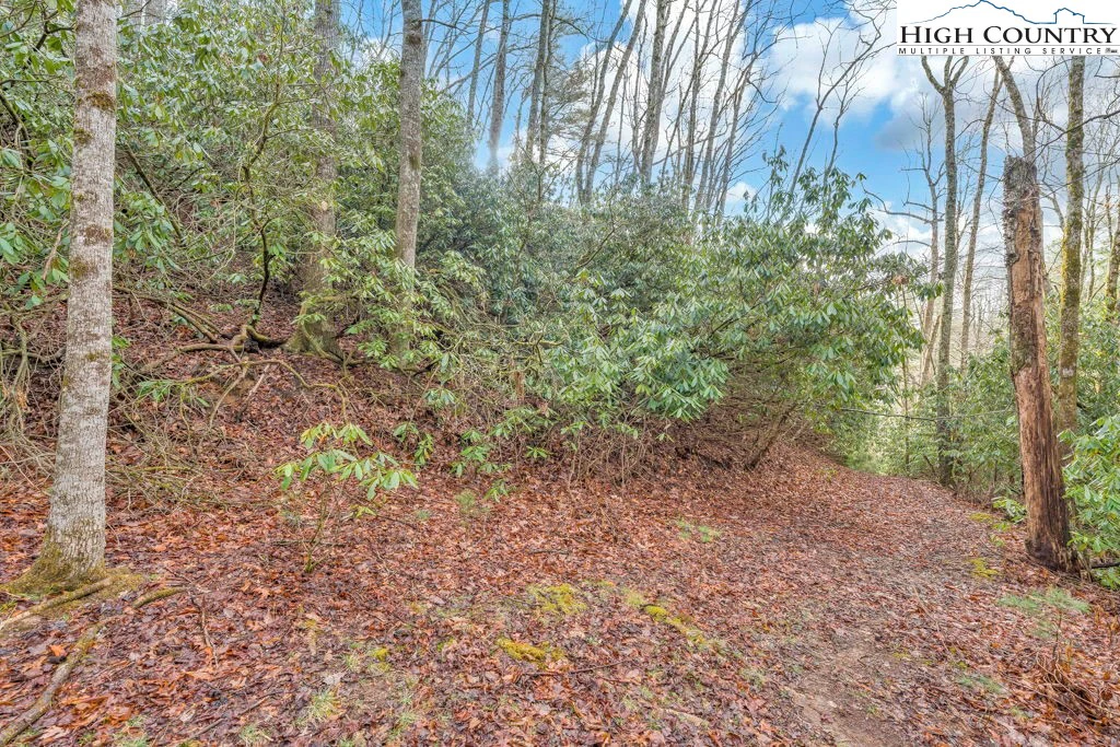 Image number 6 for the current listing
