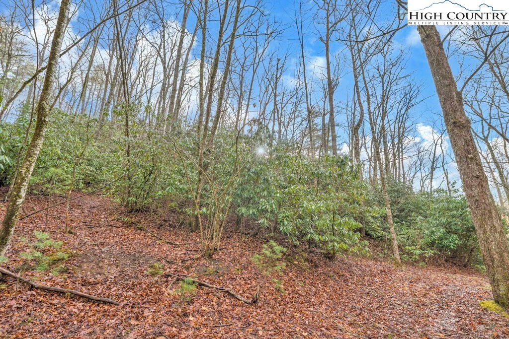 Image number 5 for the current listing