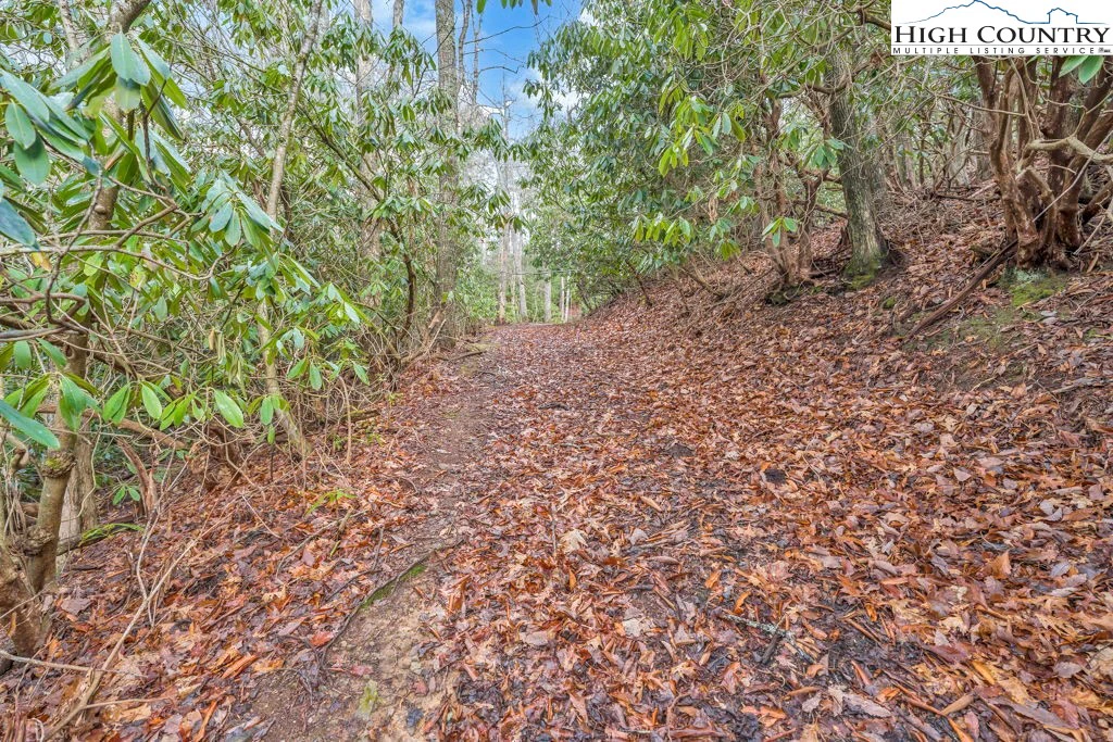Image number 4 for the current listing
