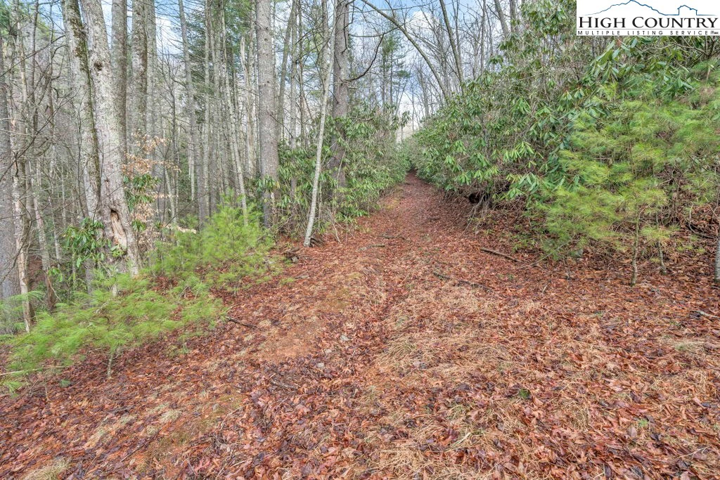 Image number 3 for the current listing