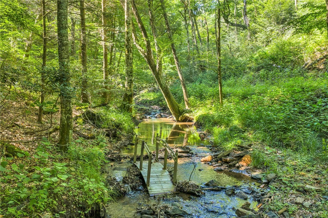 Image number 2 for the current listing