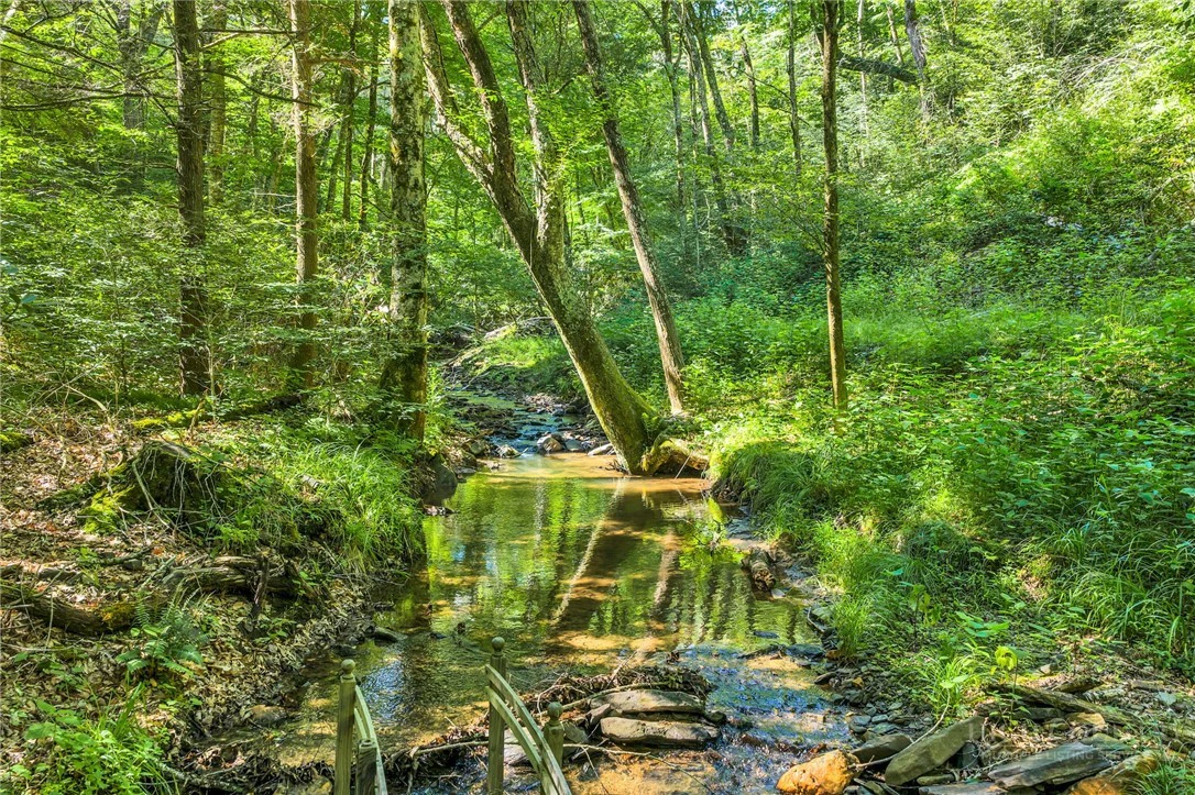 Image number 1 for the current listing