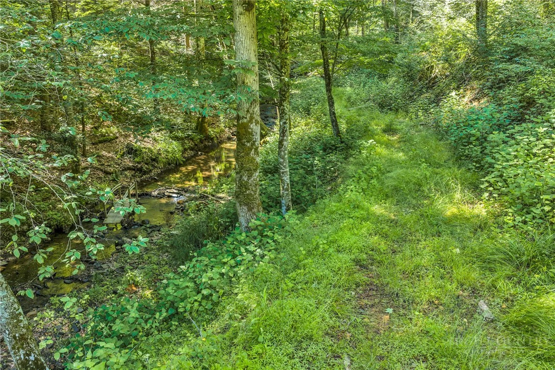 Image number 3 for the current listing