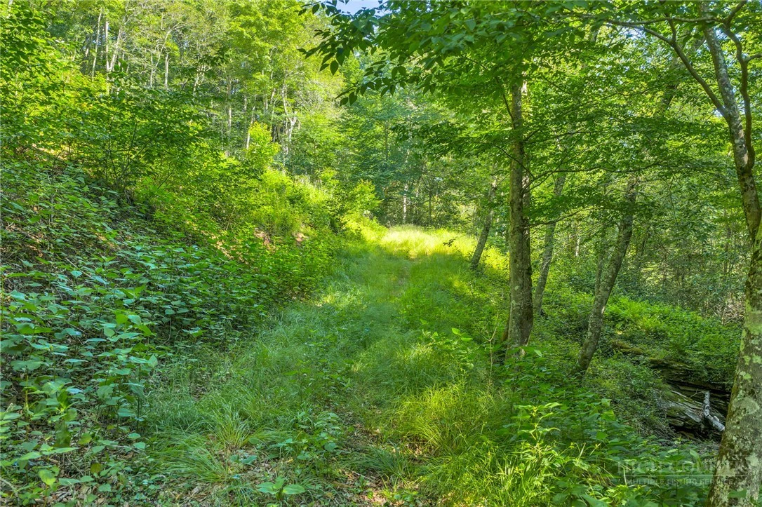 Image number 4 for the current listing